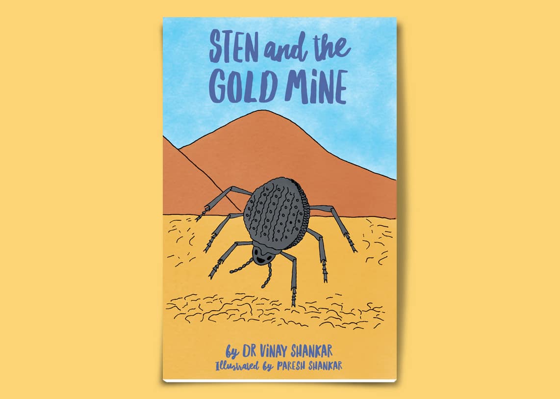 Sten and the Gold Mine - Book Cover