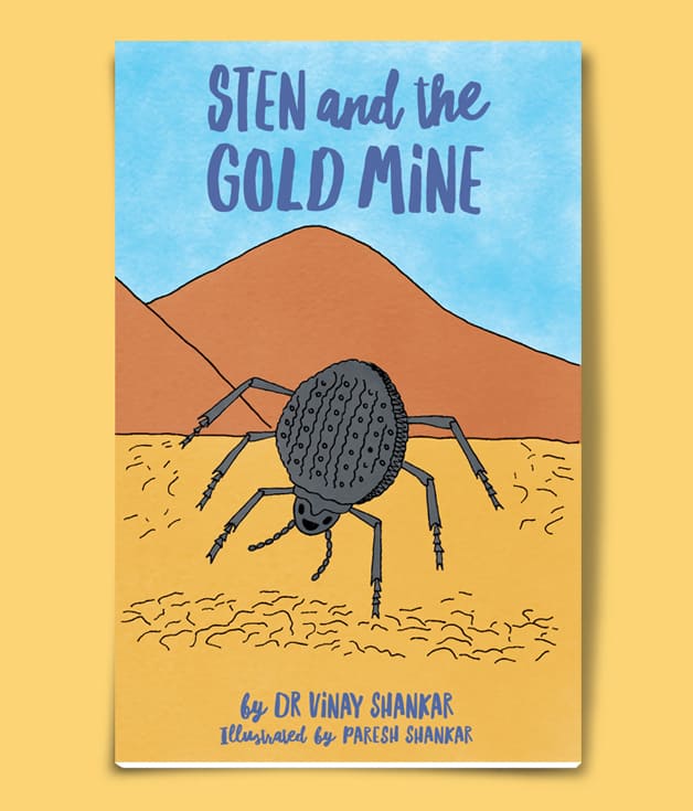 Sten and the Gold Mine - Book Cover